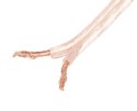LANBERG SC-2X15-10CC-1000-TR 100m /s