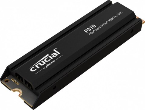 CT4000P310SSD5