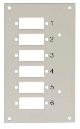 Panel do przełącznicy DIN Techly, 6x SC Duplex/LC Quad