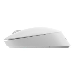 Mysz Bezprzewodowa PHILIPS SPK7307W/00