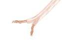 LANBERG SC-2X10-10CC-1000-TR 100m /s