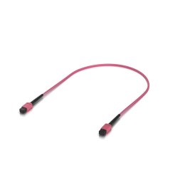 UBIQUITI UACC-OFC-MA-MPMP-0.5M-10 0.5 Kabel światłowodowy