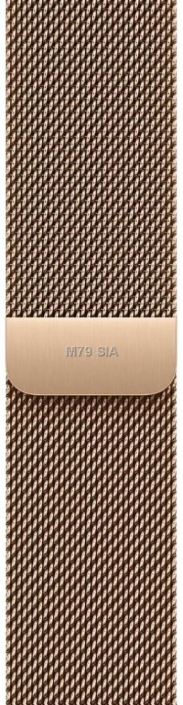 Bransoleta BURGA Chich-Royal_WTCH_Rgold_20mm