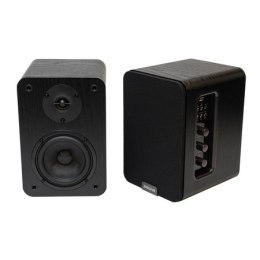 Zestaw 2 kolumn głośnikowych AIWA ASP-A200