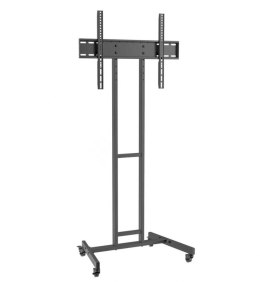 ICA-TR80