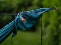 Hamak jednoosobowy TTTM Compact Hammock zielony (36)