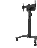 Stojak podłogowy Neomounts na monitor FL50S-825BL1 (37 - 75")