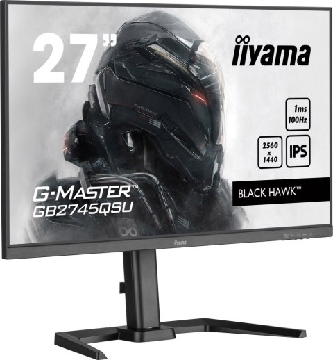 Monitor IIYAMA 4948570122783 (27" /IPS /100Hz /2560 x 1440 /Czarny)