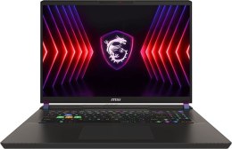 MSI Vector 17 HX (17