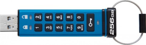 Pendrive (Pamięć USB) KINGSTON (256 GB /Niebieski )