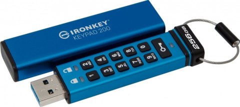 Pendrive (Pamięć USB) KINGSTON (256 GB /Niebieski )