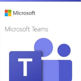 Teams Domestic Calling Plan (120 min) MICROSOFT CFQ7TTC0LHXJ:0003 CSP